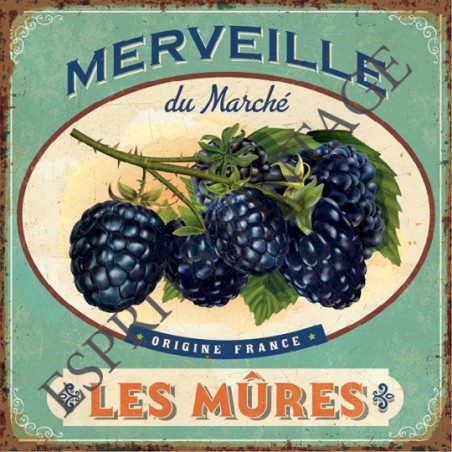 Plaque métal 19x19 19 x 19 cm les merveilleuses mures du marché