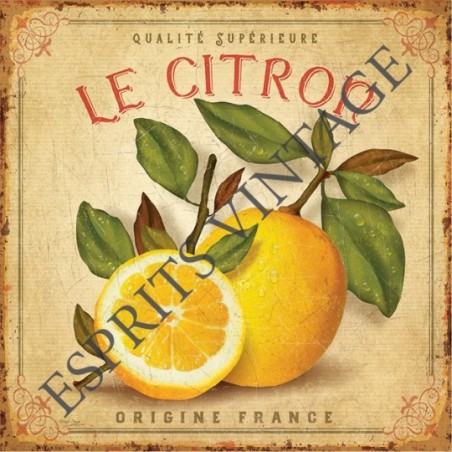 Plaque métal 29x29 29 x 29 cm le citron de qualité francaise