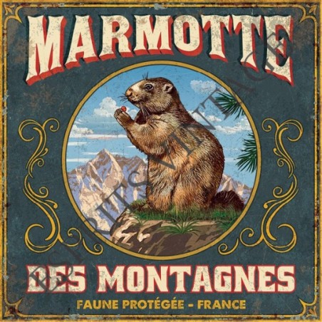 Plaque métal 29x29 29 x 29 cm la fameuse marmotte des montagnes