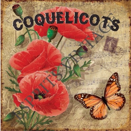 Décapsuleur 12 x 30 cm coquelicots papillon partition de musique